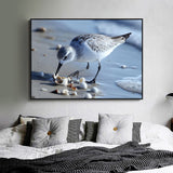 Shoreline Forager A Tranquil Bird - Canvas Wall Art