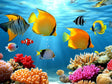 Underwater Paradise Vibrant Coral Reef - Canvas Wall Art