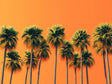 Golden Sunset Palms Canvas Wall Art