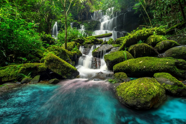 Enchanted Forest Cascade Canvas Wall Art