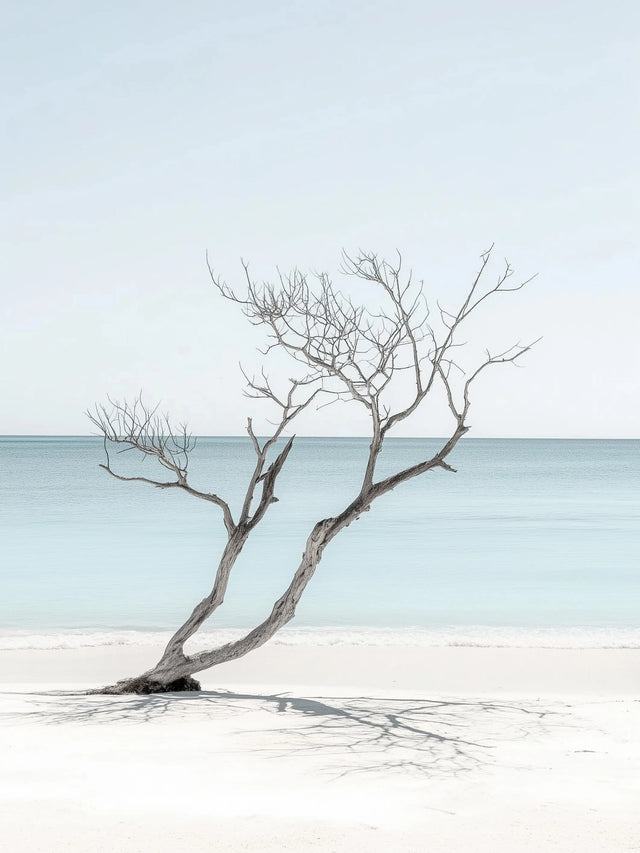 Minimalist Coastal Canvas Wall Art – Driftwood Serenity