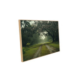 Tranquil Forest Path Canvas Wall Art