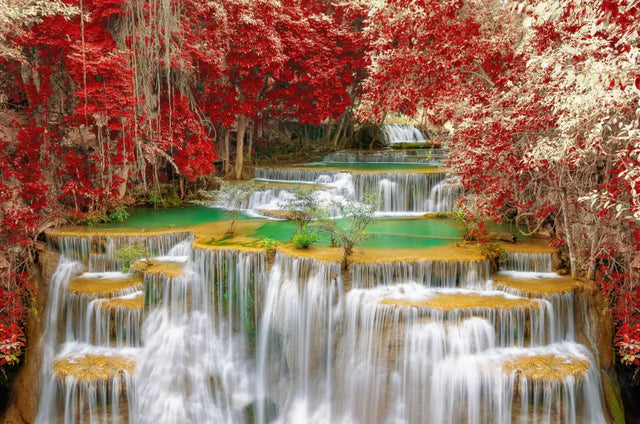 Crimson Cascade Canvas Wall Art