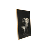 Majestic Elephants in Black and White -Canvas Wall Art