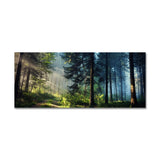 Enchanted Forest Sunrise Canvas Wall Art