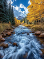 Golden Autumn Stream Canvas Wall Art