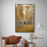 Golden Birch Forest Canvas Wall Art