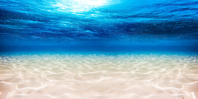 Underwater Ocean Serenity Canvas Wall Art