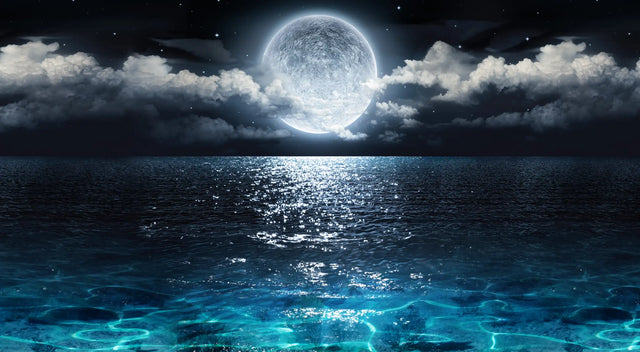 Moonlit Ocean Canvas Wall Art