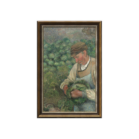 The Gardener - Old Peasant With Cabbage By Camille Pissarro