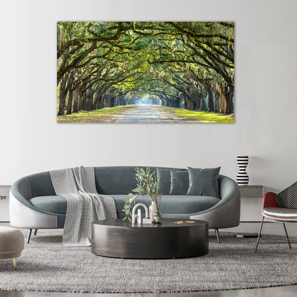 Sunlit Tree Tunnel Canvas Wall Art