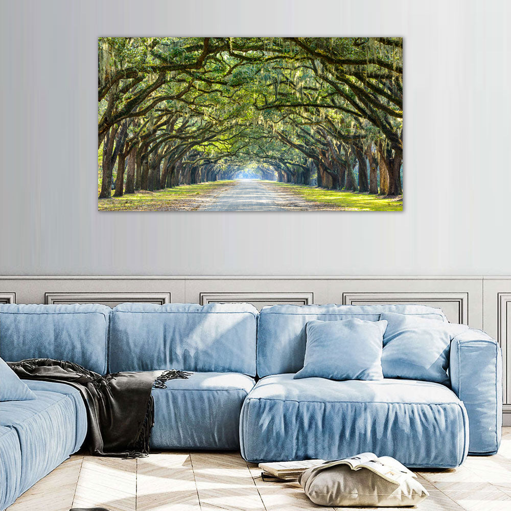 Sunlit Tree Tunnel Canvas Wall Art