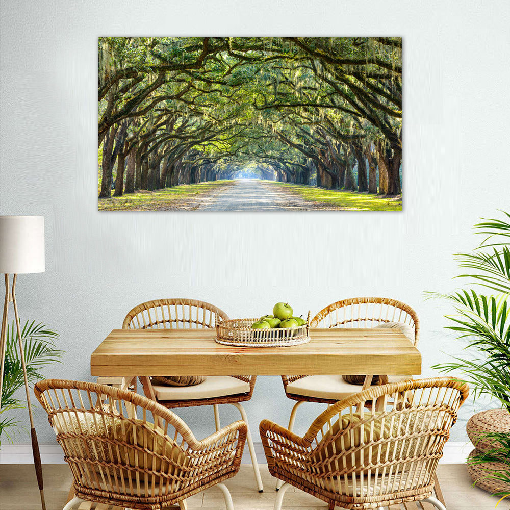 Sunlit Tree Tunnel Canvas Wall Art