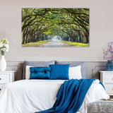 Sunlit Tree Tunnel Canvas Wall Art