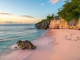 Pink Sand Beach Canvas Wall Art
