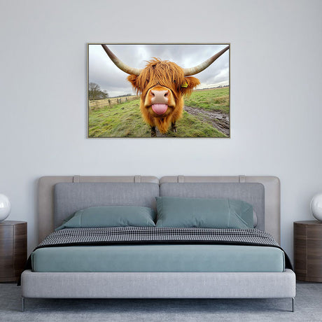 Highland Cow Canvas Wall Art