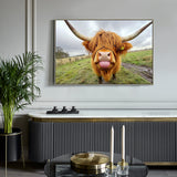 Highland Cow Canvas Wall Art