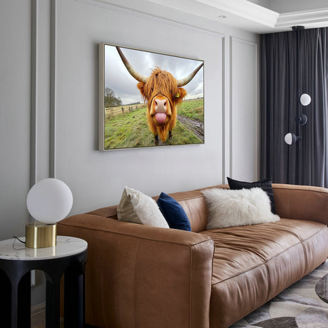 Highland Cow Canvas Wall Art