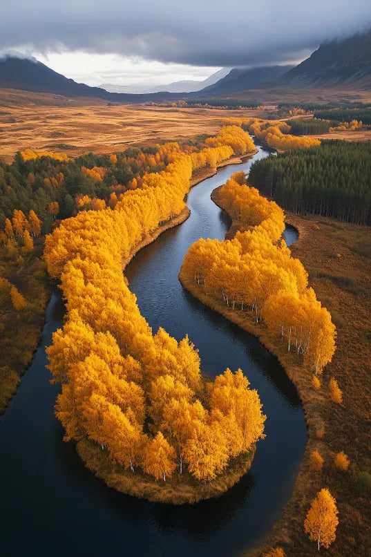 Golden Autumn River Canvas Wall Art