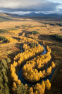 Golden Valley Meandering River Canvas Wall Art