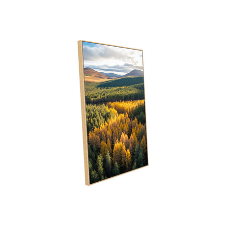 Golden Forest Valley Canvas Wall Art