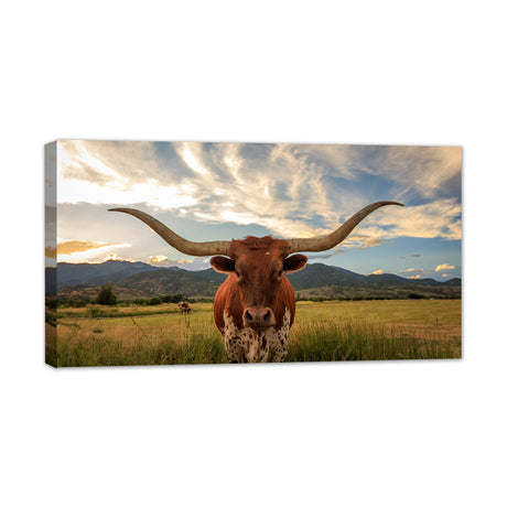 Texas Longhorn Cattle Canvas Wall Art