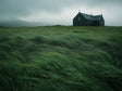Isolated House In Lush Green Grassland-Canvas Wall Art