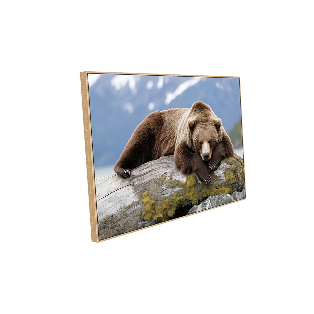 Relaxed Grizzly  – Nature's Serenity Canvas Wall Art