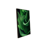 Green Leaf Macro Close-Up-Canvas Wall Art