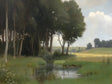 Tranquil Forest and Stream Landscape Canvas Wall Art