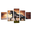 Majestic Black Stallion Galloping at Sunset Canvas Wall Art