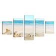 Tropical Beach Shells and Starfish Coastal Canvas Wall Art