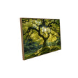 Enchanting Sunlit Tree Canvas Wall Art