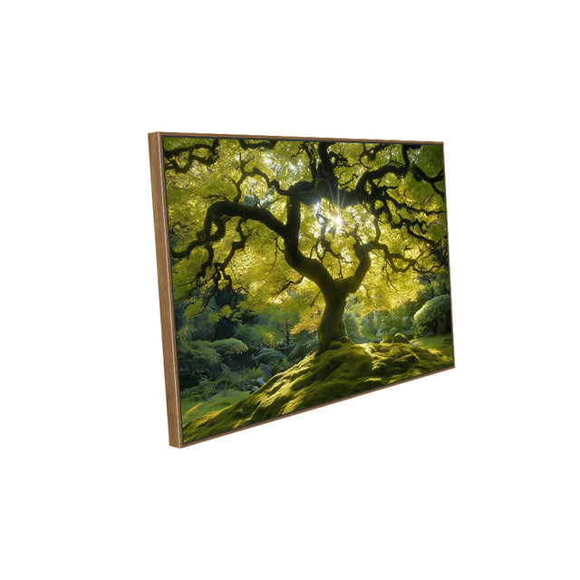Enchanting Sunlit Tree Canvas Wall Art
