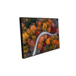 Autumn Forest Canvas Wall Art