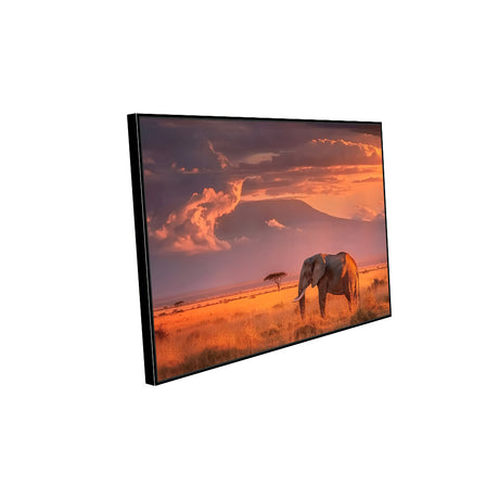 Majestic Elephant Sunset Canvas Wall Art