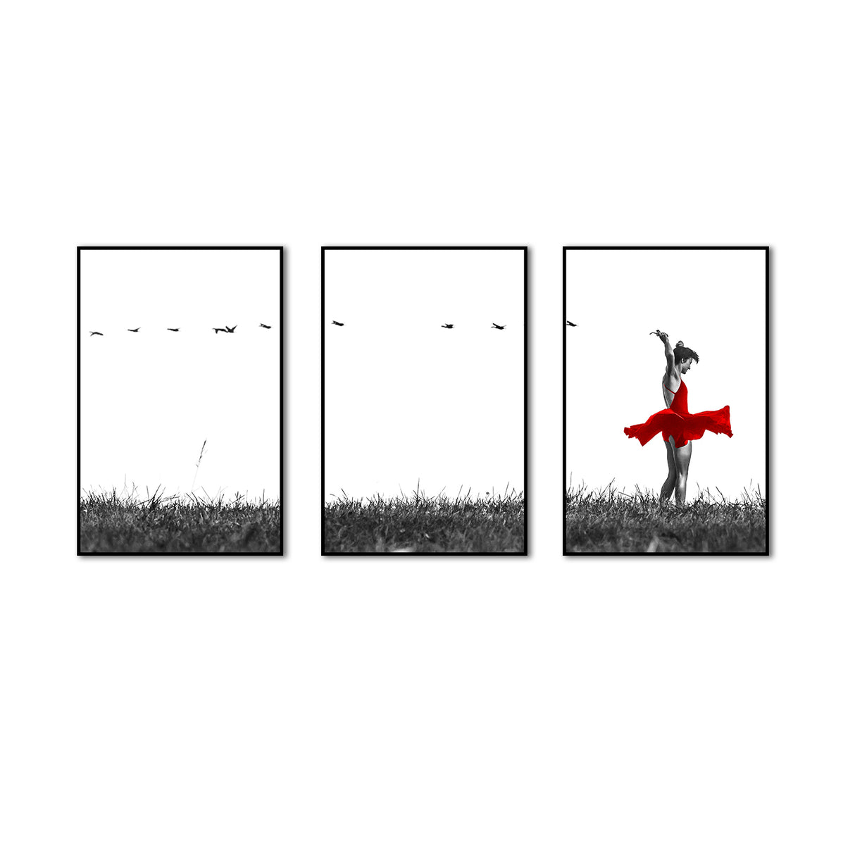 Graceful Dance Canvas Wall Art (Set of 3)