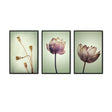 3-Piece Timeless Lotus Elegance Canvas Wall Art