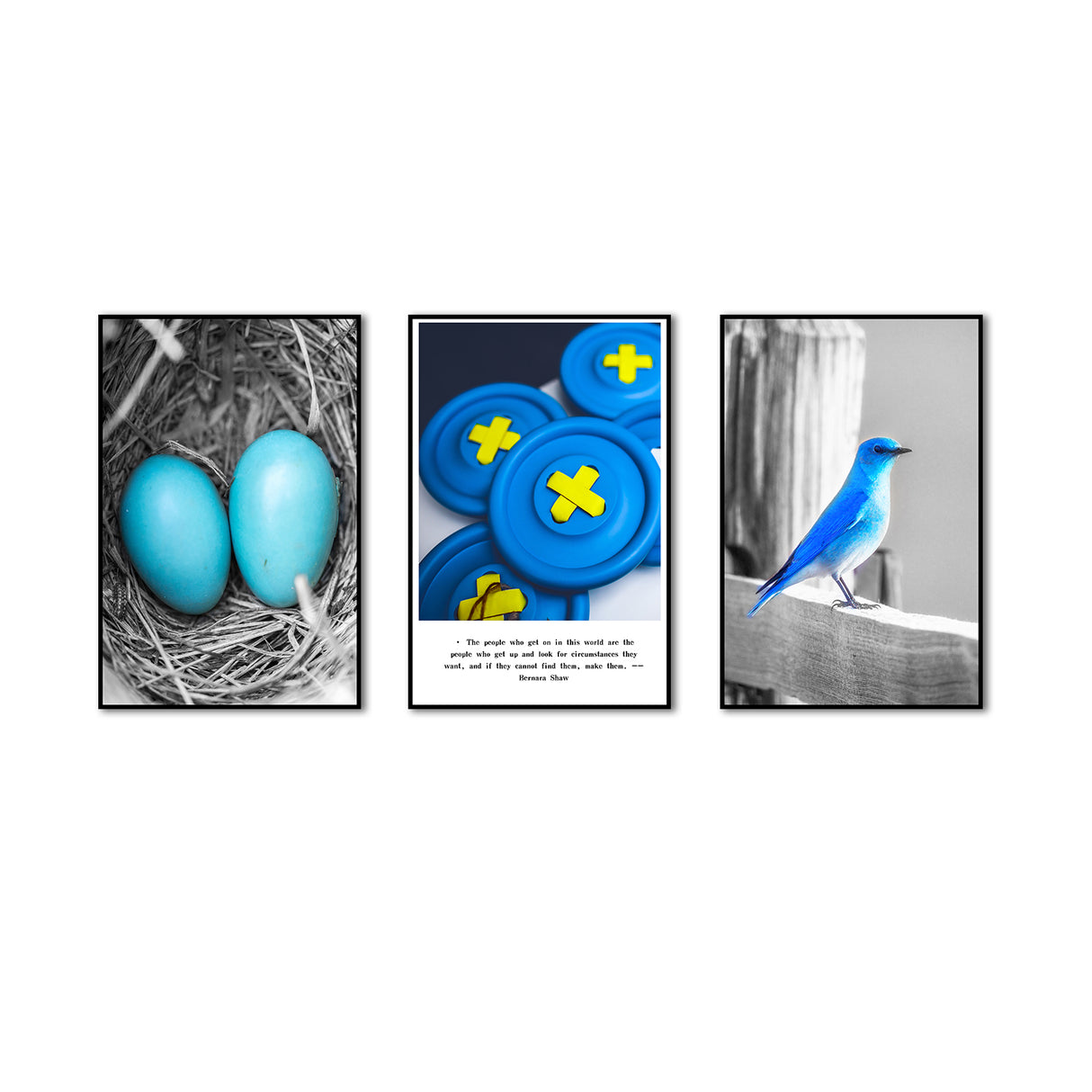 3-Piece Nordic Blue Bird and Egg Canvas Wall Art Set