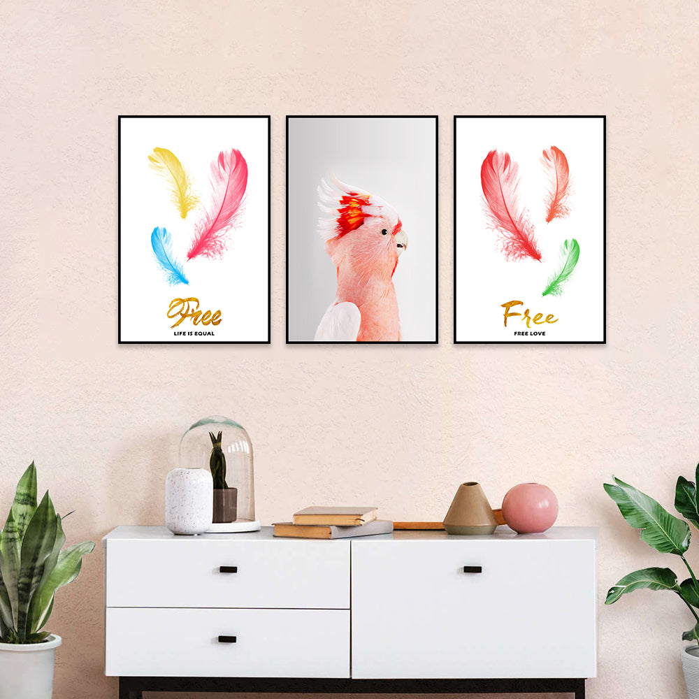 3-Piece Nordic Colorful Feathers and Parrot Canvas Wall Art