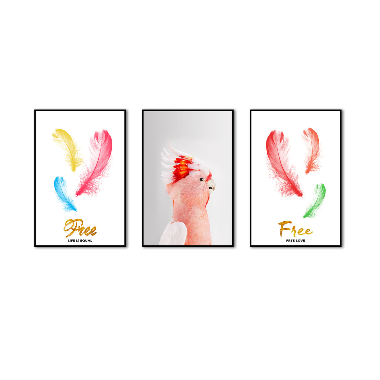 3-Piece Nordic Colorful Feathers and Parrot Canvas Wall Art