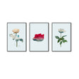 3 Piece Nordic Red And White Rose Canvas Wall Art