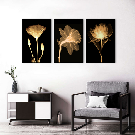 3 Piece Nordic Transparent Flowers In Black Canvas Wall Art