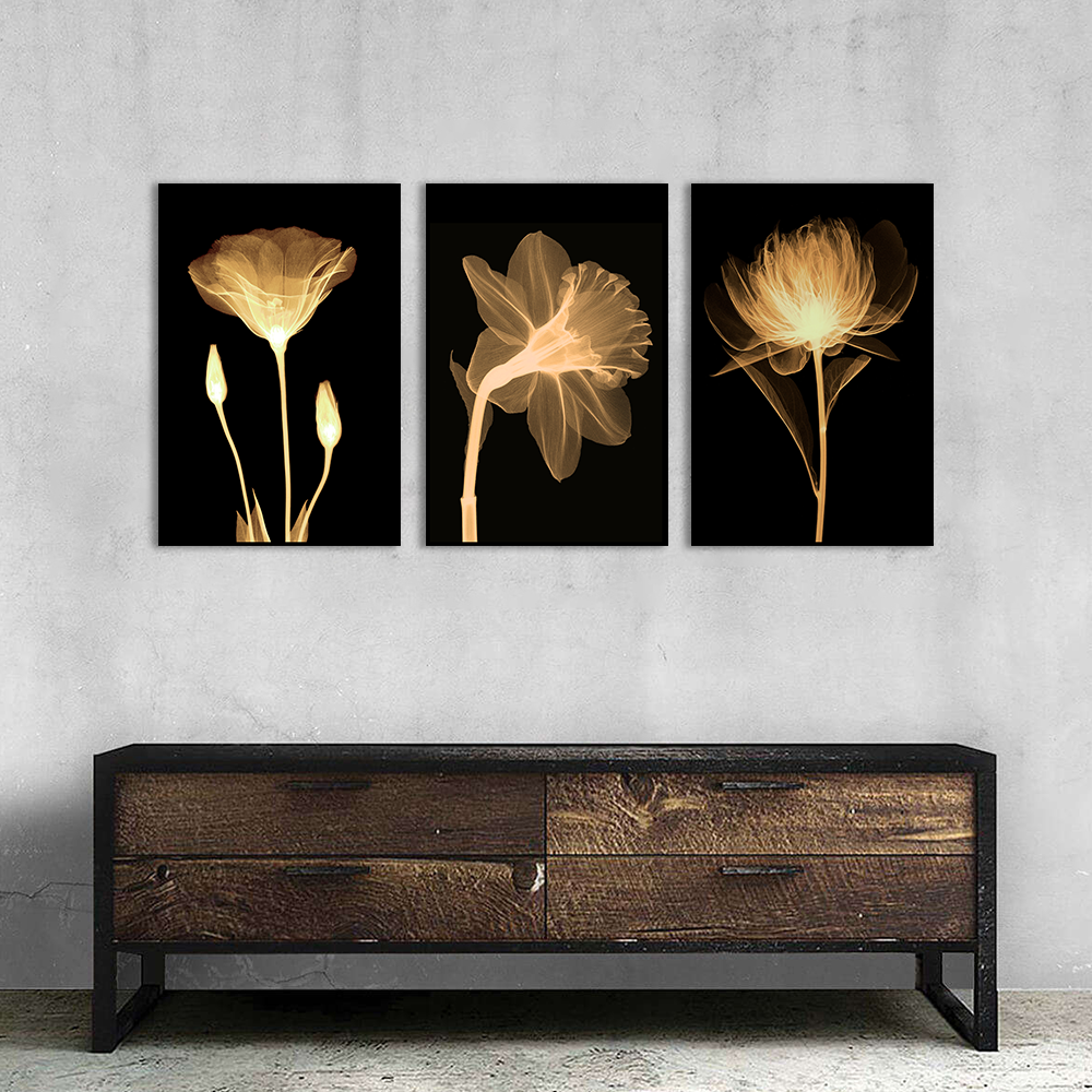 3 Piece Nordic Transparent Flowers In Black Canvas Wall Art