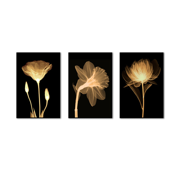 3 Piece Nordic Transparent Flowers In Black Canvas Wall Art