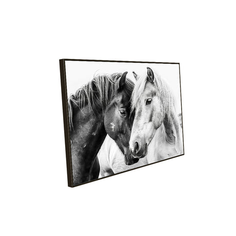 Timeless Horse Bond Canvas Wall Art