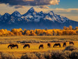 "Mountain Serenity With Grazing Horses"-Canvas Wall Art