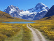 Mountain Pathway Canvas Wall Art