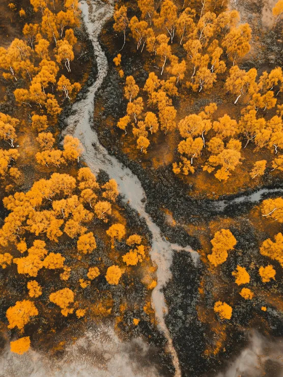 Golden Riverbend Aerial Canvas Wall Art