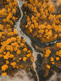 Golden Riverbend Aerial Canvas Wall Art